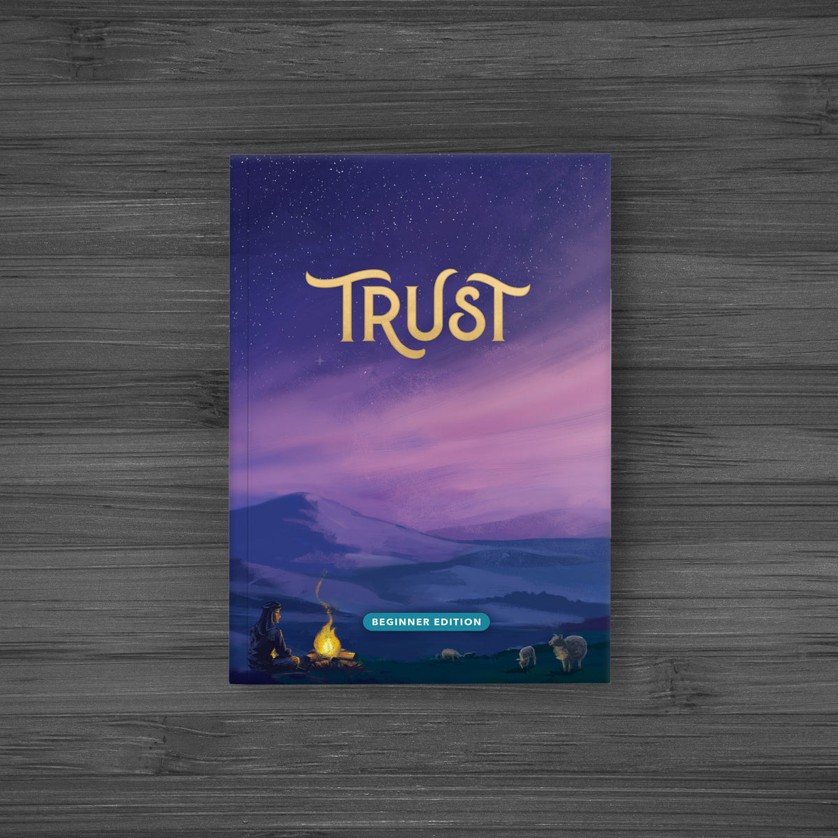 Trust Discovery Journal (2020) – National Bible Bee